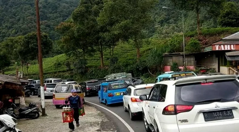 Pemerintah Akan Bangun Kereta Gantung di Puncak Bogor untuk Atasi Kemacetan